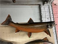 Salmon Fish Trophy, 36" Long.