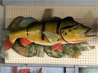 Multicolored Fish Trophy w/Moss & Wood Background.