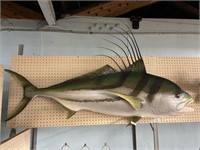 Very Large Fish Trophy w/Unusual Top Fin, 55" Long