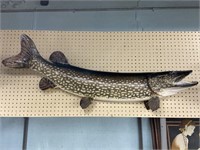 Northern Pike Fish Trophy, 45" Long.
