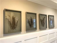 FRAMED FEATHERS