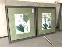 PLANT PRINTS