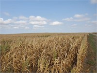 80.00 Acres Irrigated Cropland-Saunders County, NE