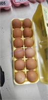 1 Doz Fertile Chocolate Orpington Eggs