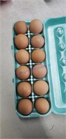 1 Doz Fertile Lavender Orpington Eggs