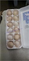 1 Doz Fertile Chocolate Serama Eggs