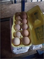 1 Doz Fertile Guinea Eggs