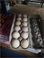 1 Doz Fertile Cochin Eggs