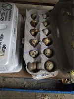 1 Doz Fertile Coturnix & 3 Button Quail Eggs