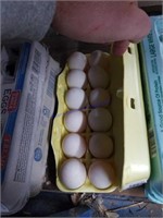 1 Doz Jumbo Duck Eating Eggs