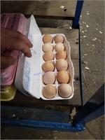 1 Doz Fertile Brahma Eggs