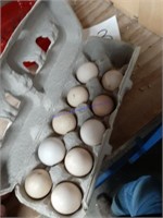 10 Fertile Silkie Eggs