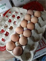 1 Doz Fertile Rhode Island Red Eggs