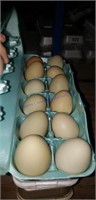 3 Doz Easter Egger Eating Eggs