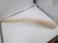 Phenomenal relief carved male walrus tusk by Denni