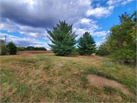 TRACT 1 - 4+/- ACRE BUILDING SITE W/ POND