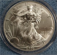 2002 UNC 1 OZ Fine Silver Eagle