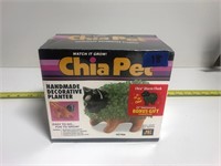 NEW Kitten Chia Pet Handmade Decorative Planter