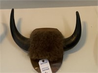 Bison mount