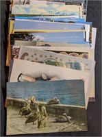 Nice Large Group of Postcards
