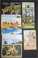 Group of Vintage Native American Indian Postcards