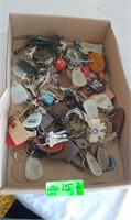Lot of misc keys and key chains