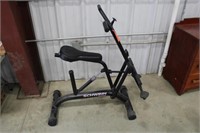 Schwinn Exercise Machine