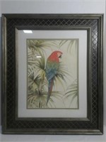Parrot Artwork