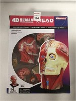 4D HUMAN HEAD ANATOMY MODEL