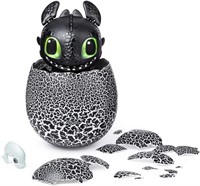 Dragons Hatching Toothless Dreamworks