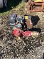 Hale 30FB-B25 Portable Pump