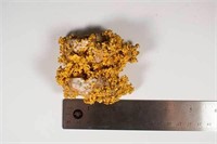 Gold Nugget 1