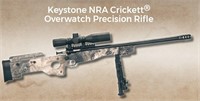 Keystone NRA Crickett Overwatch Precision Rifle