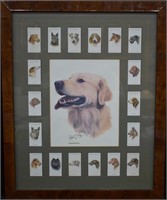 Framed Collection of Tobacco Trading Cards - Dogs