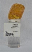 Authentic Columbian Amber Specimen