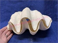 Large clam seashell - 11in wide