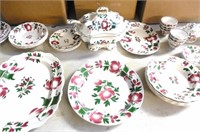 Lot of 50 Pieces Early Adams Rose