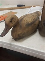 Duck and dove decoys and camo blind