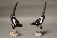 Pair of 19th Century Meissen Models of Magpies,
