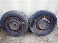 Dunlop Grasspic DS-3 Tires on Rims