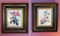 Two floral prints in period walnut and ebonized