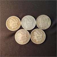 5 Mixed Date Morgan Silver  Dollars - One Money