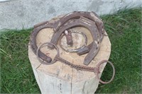 Vintage Horse Shoes and Bits