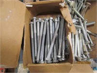 Assorted Carriage and Lag bolts