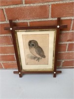 Albert durer little owl art print