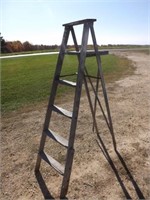 Rough Taller Step Ladder