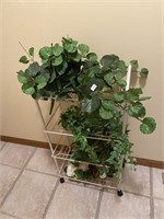 Rolling Cart with Plants