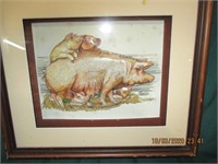 Pig picture 10" x 8" - signed
