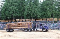 1 Load Alder/Birch Fire Wood (9-10 Cords)