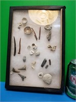 Fossils